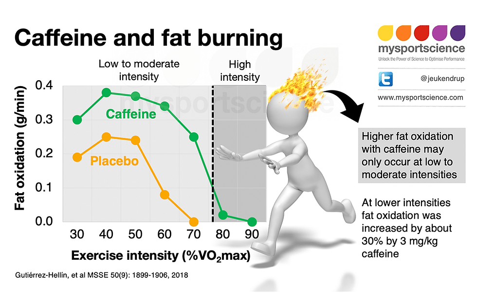 Does Coffee Affect The Body’s Fat-burning Process While Sleeping?