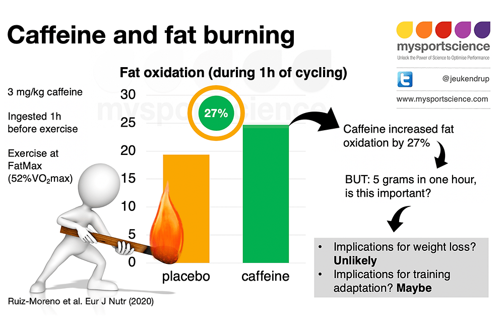 Does Coffee Affect The Body’s Fat-burning Process While Sleeping?