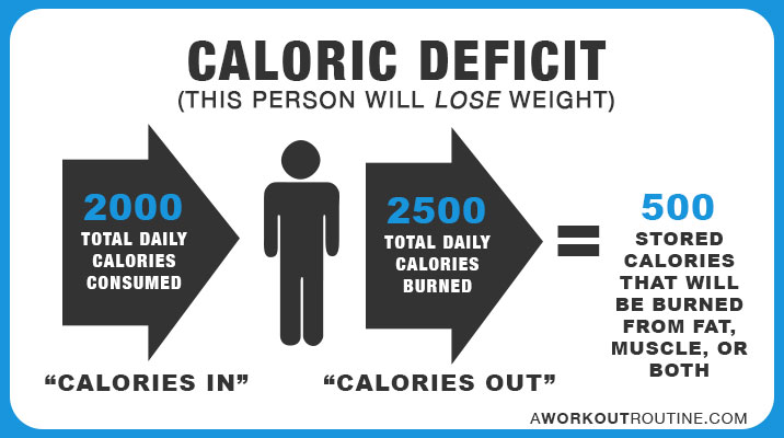 How Many Calories Should I Eat To Lose Weight?